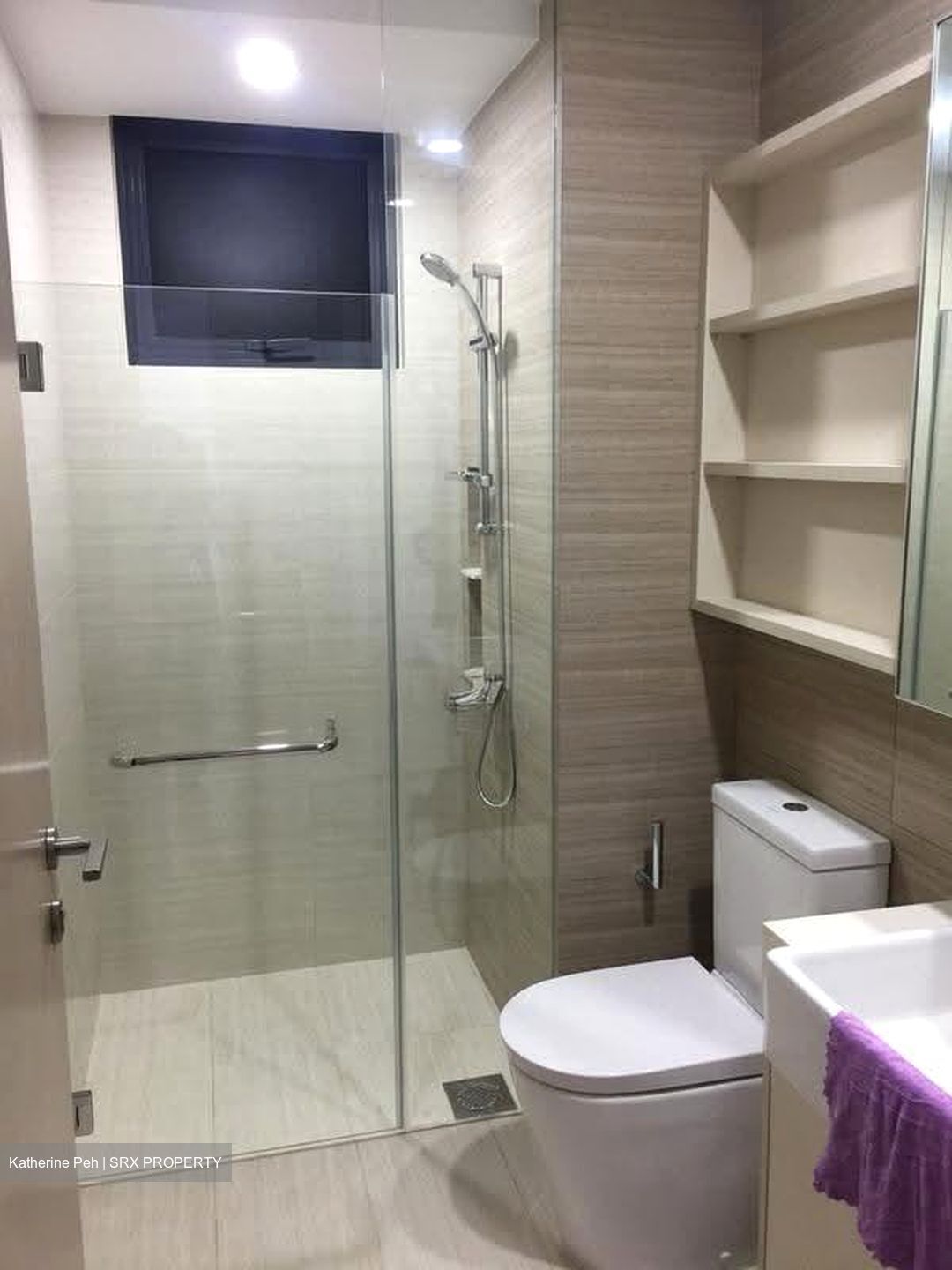 High Park Residences (D28), Apartment #607748831
